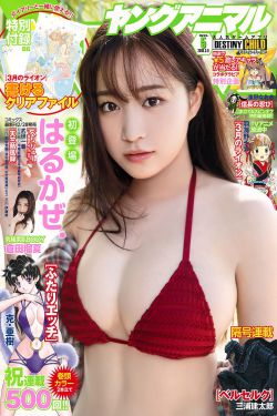 电视剧我的野蛮婆婆